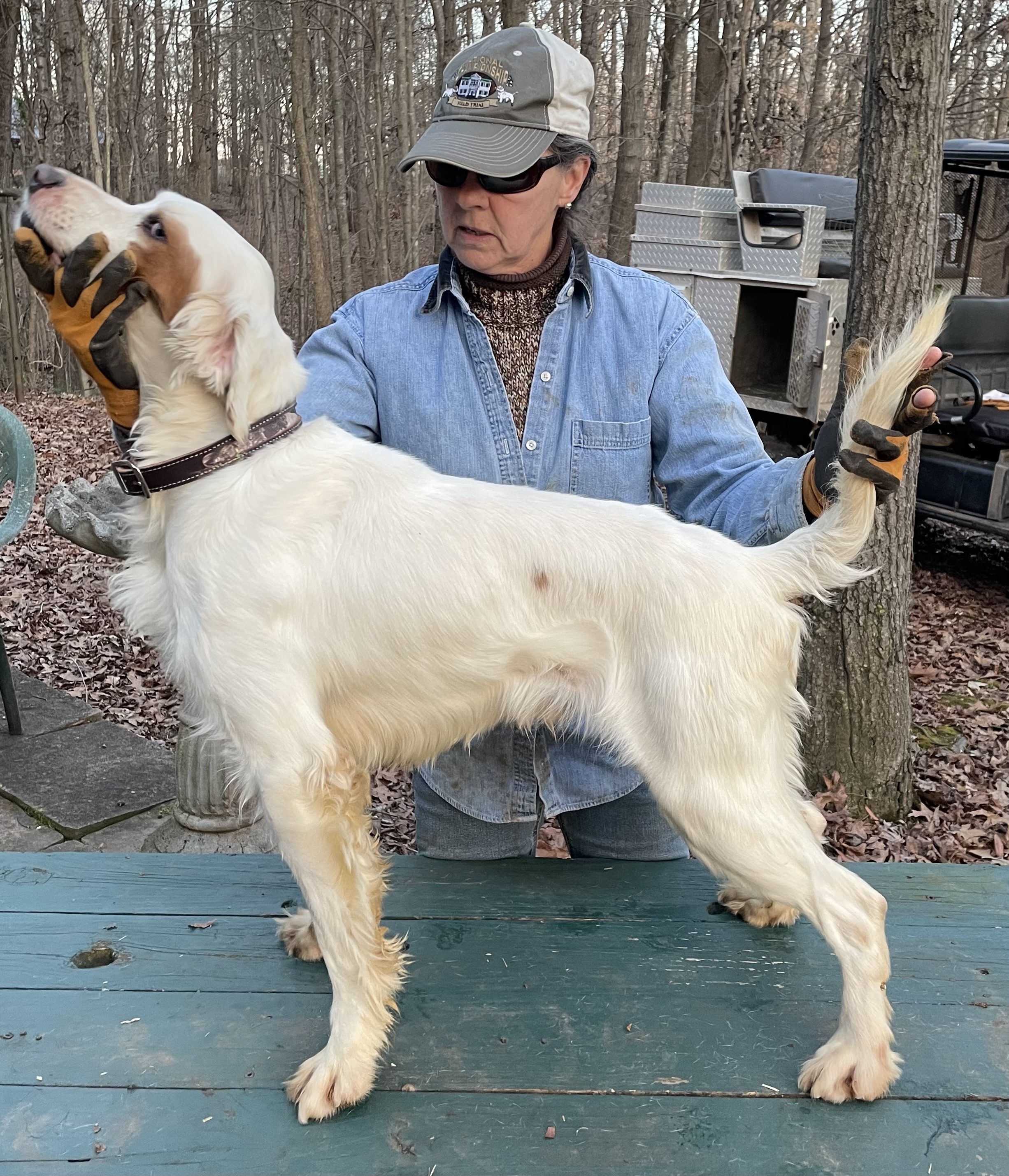 QUICKMARKSMAN'S  FRED