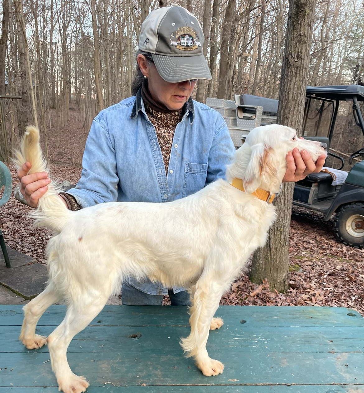 QUICKMARKSMAN'S ELLIE